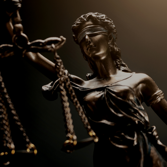 MJR News Update 2 (1)